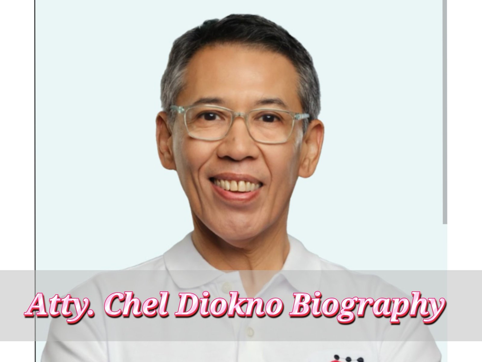 Atty. Chel Diokno Biography